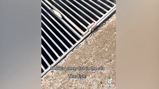 Try Not To Laugh Challenge