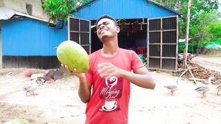 Totally Amazing New Viral Trending Best Funny Video 2022????