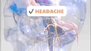 горячие продукты номер 01