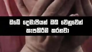 SK music  shorts