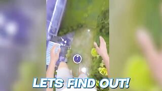 Worlds Most Viewed YouTube Shorts In 2022!! (Viral Clips)