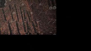 14 August video of aman ka Nissan h hamra Pakistan
