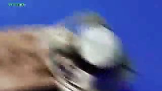 Ixtrolar 45