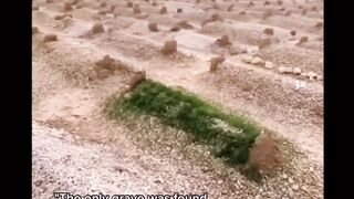Death reality