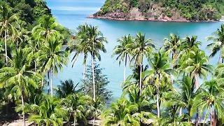 admir les beauté de la nature