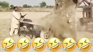 Noo way,  is this brain or Mud
