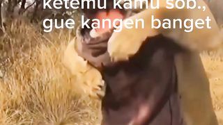 Ketemu sahabat lama
