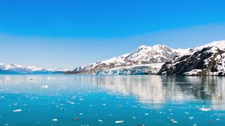 World of the Wild | Episode 12: The American Mountains | Free Documentary Nature