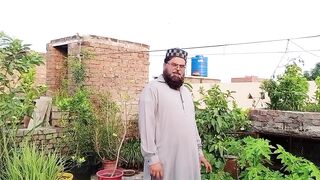 ہم نے انگوروں کی بیل کا کیا کیا