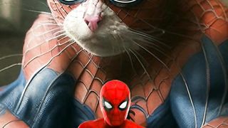 superhero becomes a cat