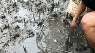 Catching crabs