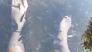 Terapi ikan