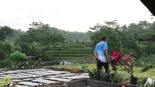 Good morning from our paddy field
