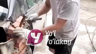 Febsbot yutub