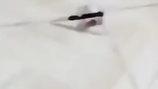 Funny videos 300