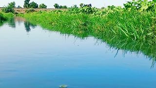 Relaxing Sounds of Water | Green Scenery | Beautiful Nature Video | #febspotvideo