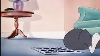 Tom & jerry cartoon 2