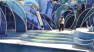 amazing action animals