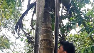 FUNNY VIDEOS ????