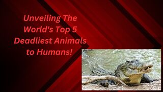 Unveiling The World's Top 5 Deadliest Animals to Humans!