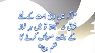 Miswak |Hadees| Status