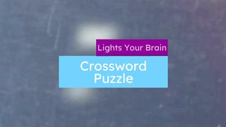 Crossword Puzzle (3)
