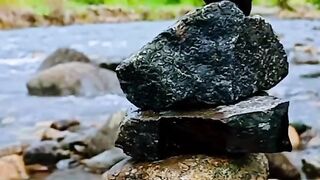 Nature is not a place to visit but it is a HOME????