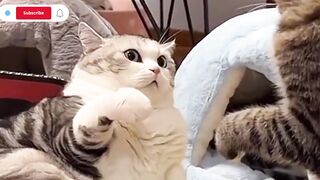 Mujhy kyu on chera????????