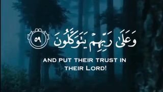 Quran recitation | Quran verses | quran recitation of Quran verses beautiful voice with Arabic text and English translation