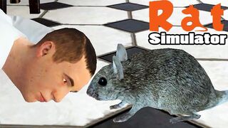 ЗЛЫЕ ЛЮДИШКИ НЕ ДАЮТ ПОКУШАТЬ Rat Simulator