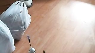 another cute video with my cats