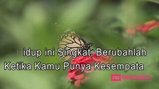 Motivasi Diri