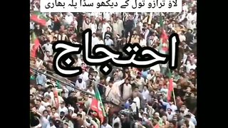 لاؤ ترازو تول کے دیکھو ساڈا بلہ بھاری آۓ