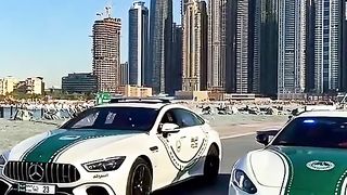 Policy car dubai