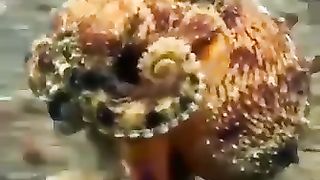 ????? 5