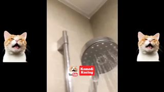 Vidio Komplikasi dubbing kucing lucu bikin ngakak!