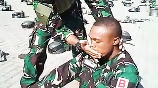 eat commando rice