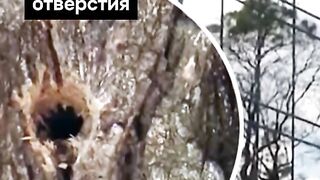 ПОЙНТ МОЛДОВА 30
