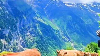 Switzerland ???????? village beautiful view