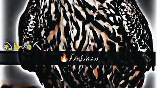 MOTVATION VIDEO
