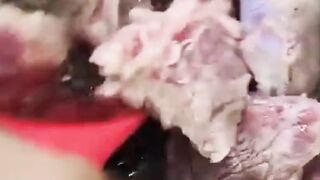 Pakistani and Asian Dinner Menu By Recipes