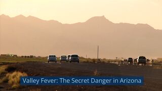 Why a Deadly Fungus From The American Southwest Is Approaching Canada