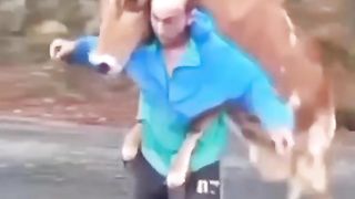 Try Not To Laugh ???????????? #shorts #viral #funnyvideo #funnymoments #funniestfails