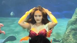 可愛死了你們