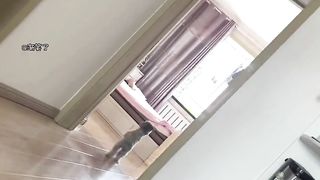 Stupid dog????