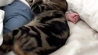 Cat sleeping with baby