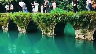 Nature Love 2