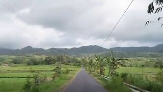 enjoy the beauty of nature