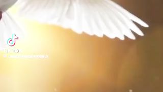 Khudawand k  7 names