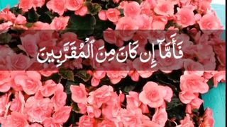 Beautiful voice of sorha Al waqya